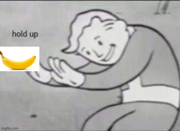 Fallout Hold Up | image tagged in fallout hold up | made w/ Imgflip meme maker