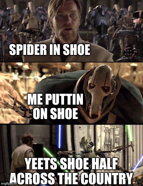 General Kenobi "Hello there" |  SPIDER IN SHOE; ME PUTTIN ON SHOE; YEETS SHOE HALF ACROSS THE COUNTRY | image tagged in general kenobi hello there | made w/ Imgflip meme maker