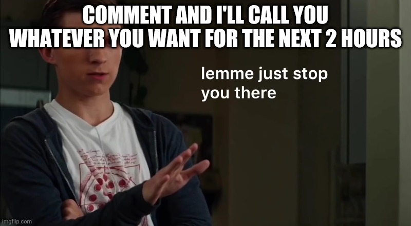 Lemme just stop you there | COMMENT AND I'LL CALL YOU WHATEVER YOU WANT FOR THE NEXT 2 HOURS | image tagged in lemme just stop you there | made w/ Imgflip meme maker