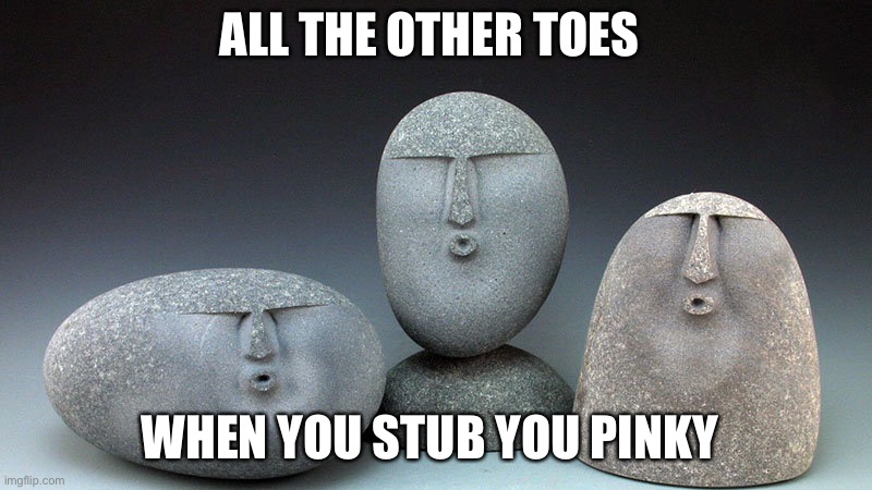 TOES | ALL THE OTHER TOES; WHEN YOU STUB YOU PINKY | image tagged in oof stones,memes,funny | made w/ Imgflip meme maker