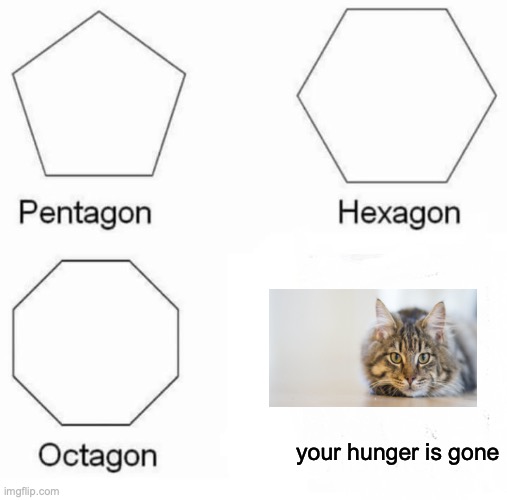 Pentagon Hexagon Octagon Meme | your hunger is gone | image tagged in memes,pentagon hexagon octagon,kitten meat | made w/ Imgflip meme maker