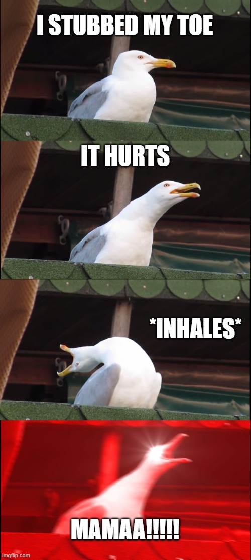 Inhaling Seagull | I STUBBED MY TOE; IT HURTS; *INHALES*; MAMAA!!!!! | image tagged in memes,inhaling seagull | made w/ Imgflip meme maker