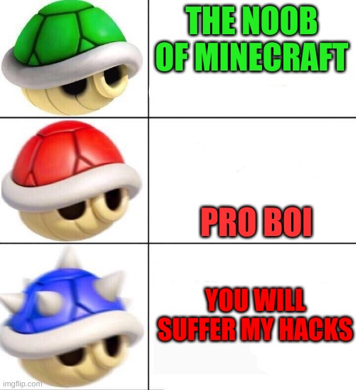 on a scale of noob to hacker, how good are you at minecraft? | THE NOOB OF MINECRAFT; PRO BOI; YOU WILL SUFFER MY HACKS | image tagged in mario kart shells | made w/ Imgflip meme maker