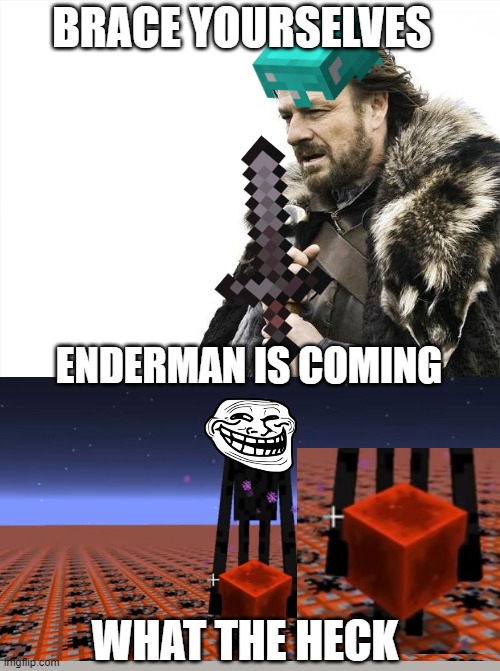 ENDERMAN IS COMING | BRACE YOURSELVES; ENDERMAN IS COMING; WHAT THE HECK | image tagged in memes,brace yourselves x is coming | made w/ Imgflip meme maker