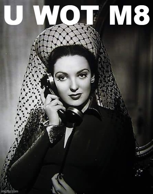 High Quality Linda Darnell phone u wot  m8 Blank Meme Template