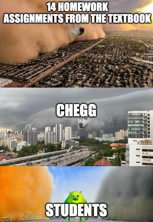 Sandstorm tsunami mike | 14 HOMEWORK ASSIGNMENTS FROM THE TEXTBOOK STUDENTS CHEGG | image tagged in sandstorm tsunami mike | made w/ Imgflip meme maker
