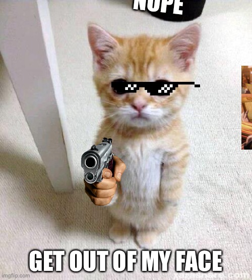 Cute Cat Meme | NOPE; GET OUT OF MY FACE | image tagged in memes,cute cat | made w/ Imgflip meme maker
