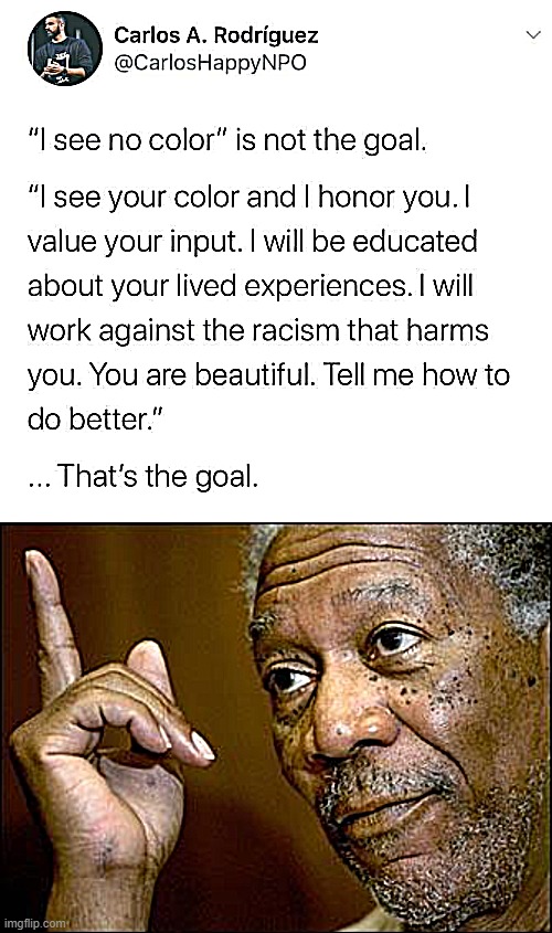image tagged in i see no color is not the goal,this morgan freeman | made w/ Imgflip meme maker