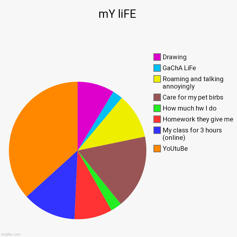 mY liFE | YoUtuBe, My class for 3 hours (online), Homework they give me, How much hw I do, Care for my pet birbs, Roaming and talking annoyi | image tagged in charts,pie charts | made w/ Imgflip chart maker