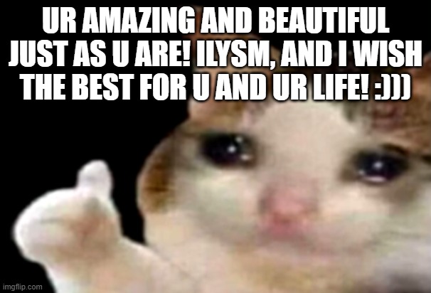 Sad cat thumbs up | UR AMAZING AND BEAUTIFUL JUST AS U ARE! ILYSM, AND I WISH THE BEST FOR U AND UR LIFE! :))) | image tagged in sad cat thumbs up | made w/ Imgflip meme maker