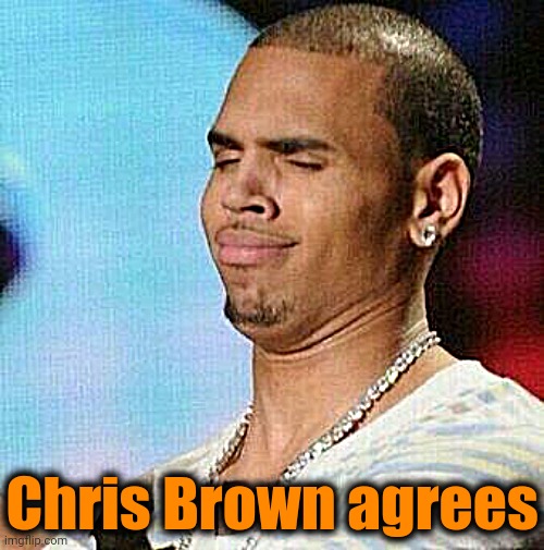 Chris brown unbothered | Chris Brown agrees | image tagged in chris brown unbothered | made w/ Imgflip meme maker
