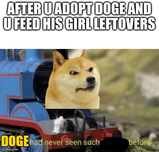 doge tom | AFTER U ADOPT DOGE AND U FEED HIS GIRL LEFTOVERS | image tagged in doge,thomas the tank engine,thomas had never seen such bullshit before | made w/ Imgflip meme maker