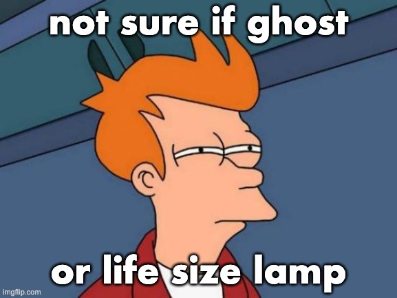 Futurama Fry Meme | not sure if ghost or life size lamp | image tagged in memes,futurama fry | made w/ Imgflip meme maker