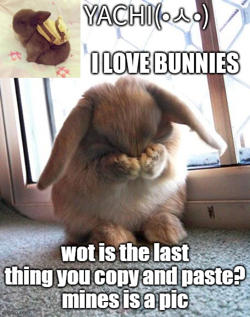 Yachi's bunny temp | wot is the last thing you copy and paste?
mines is a pic | image tagged in yachi's bunny temp | made w/ Imgflip meme maker