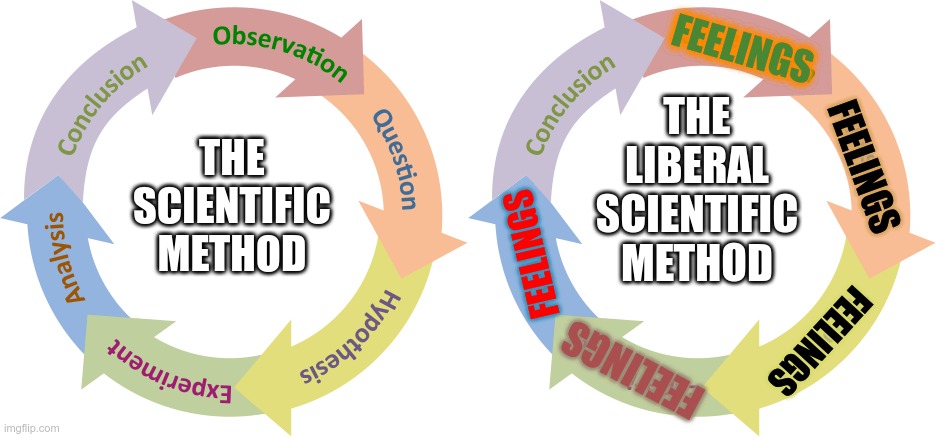 Science doesn't seem to matter when someone's feelings get hurt | FEELINGS; THE LIBERAL SCIENTIFIC METHOD; THE SCIENTIFIC METHOD; FEELINGS; FEELINGS; FEELINGS; FEELINGS | image tagged in crying democrats | made w/ Imgflip meme maker