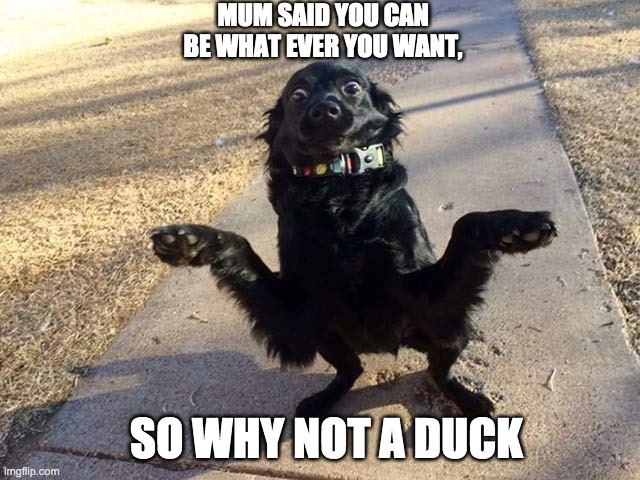 MUM SAID YOU CAN BE WHAT EVER YOU WANT, SO WHY NOT A DUCK | made w/ Imgflip meme maker