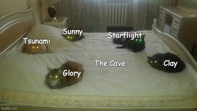 image tagged in memes,wings of fire,funny | made w/ Imgflip meme maker