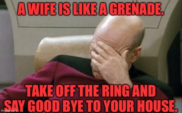 Captain Picard Facepalm | image tagged in funny,funny memes,captain picard facepalm | made w/ Imgflip meme maker
