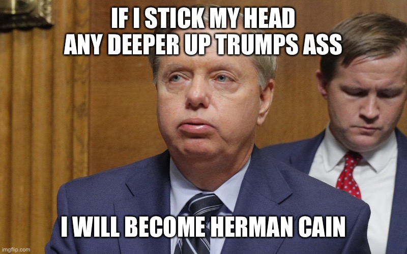 lindsey graham | IF I STICK MY HEAD ANY DEEPER UP TRUMPS ASS; I WILL BECOME HERMAN CAIN | image tagged in lindsey graham | made w/ Imgflip meme maker