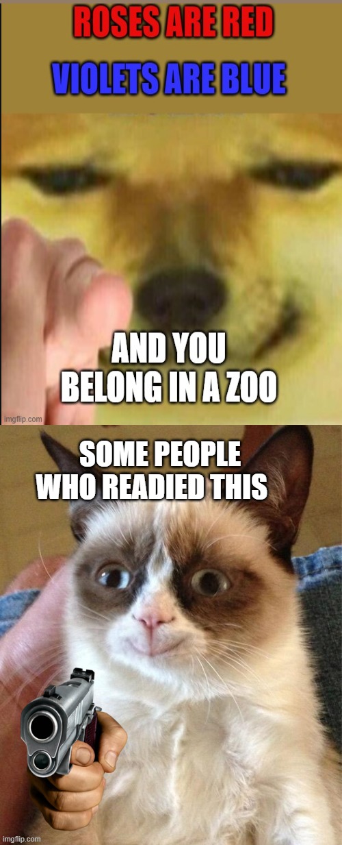 do you belong in a zoo? | SOME PEOPLE WHO READIED THIS | image tagged in memes,grumpy cat happy,grumpy cat | made w/ Imgflip meme maker