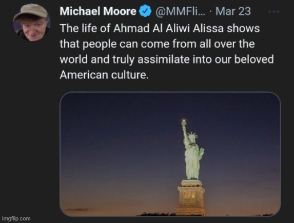 Michael Moore: V Rare Troll Hall-of-Famer | image tagged in michael moore mass shooting | made w/ Imgflip meme maker