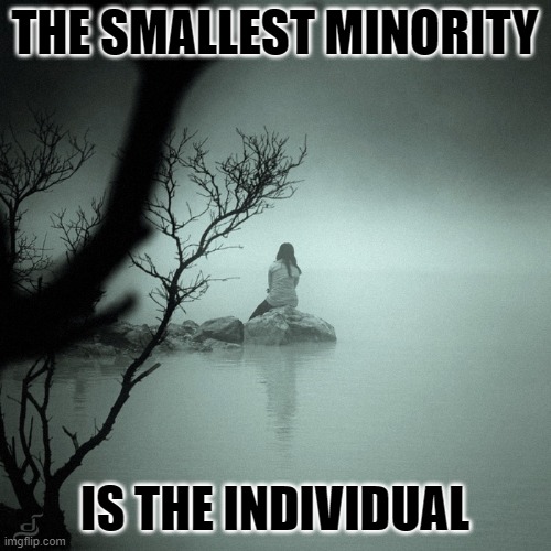 Sitting alone on a rock in a quiet foggy lake | THE SMALLEST MINORITY; IS THE INDIVIDUAL | image tagged in sitting alone on a rock in a quiet foggy lake | made w/ Imgflip meme maker