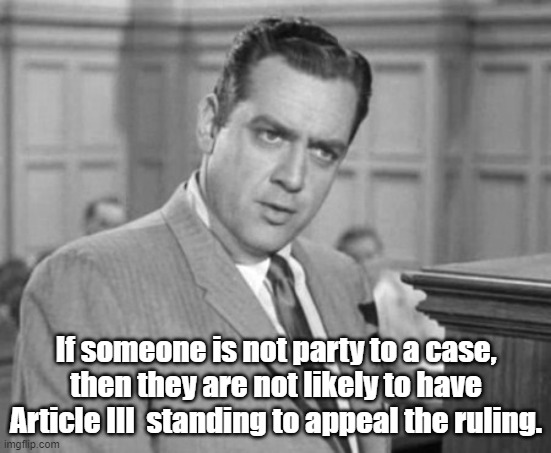 Perry Mason | If someone is not party to a case, then they are not likely to have Article III  standing to appeal the ruling. | image tagged in perry mason | made w/ Imgflip meme maker