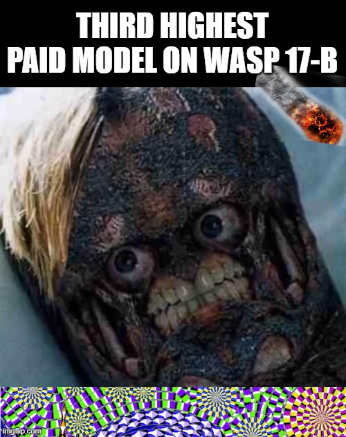 THIRD HIGHEST PAID MODEL ON WASP 17-B | image tagged in kwispy | made w/ Imgflip meme maker