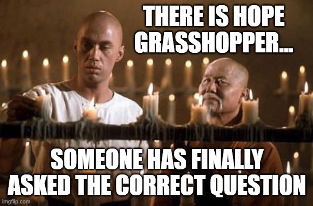 kung fu grasshopper | THERE IS HOPE GRASSHOPPER... SOMEONE HAS FINALLY ASKED THE CORRECT QUESTION | image tagged in kung fu grasshopper | made w/ Imgflip meme maker