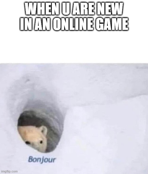 pure gaming | WHEN U ARE NEW IN AN ONLINE GAME | image tagged in bonjour | made w/ Imgflip meme maker