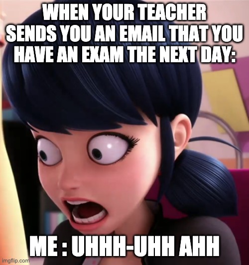 MLB Marinette | WHEN YOUR TEACHER SENDS YOU AN EMAIL THAT YOU HAVE AN EXAM THE NEXT DAY:; ME : UHHH-UHH AHH | image tagged in miraculous lb marinette | made w/ Imgflip meme maker