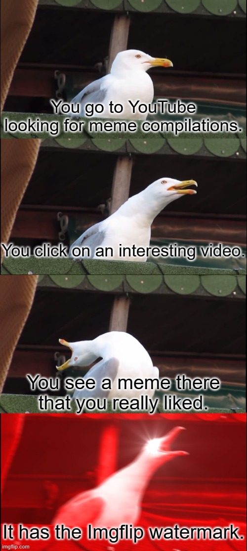 Seriously. If that happened to me, I would scream of joy. | You go to YouTube looking for meme compilations. You click on an interesting video. You see a meme there that you really liked. It has the Imgflip watermark. | image tagged in memes,inhaling seagull,imgflip,youtube,noice | made w/ Imgflip meme maker