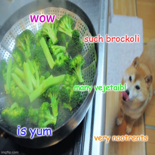 doggo love broccoli | wow; such brockoli; many vejetaibl; is yum; very nootrents | image tagged in doggo,doge | made w/ Imgflip meme maker