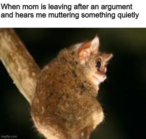 Don't talk! | When mom is leaving after an argument and hears me muttering something quietly | image tagged in mum,argument | made w/ Imgflip meme maker