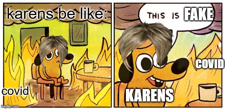 no its not | FAKE; karens be like:; COVID; covid; KARENS | image tagged in memes,this is fine | made w/ Imgflip meme maker