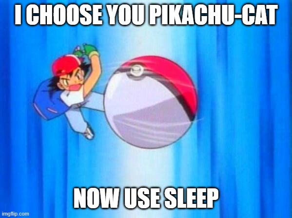 cat | I CHOOSE YOU PIKACHU-CAT; NOW USE SLEEP | image tagged in i choose you,cats | made w/ Imgflip meme maker