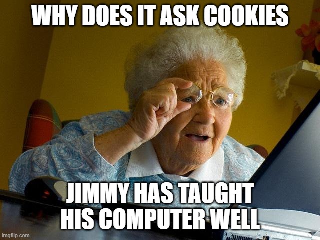 Wholesome Grandma | WHY DOES IT ASK COOKIES; JIMMY HAS TAUGHT HIS COMPUTER WELL | image tagged in memes,grandma finds the internet | made w/ Imgflip meme maker