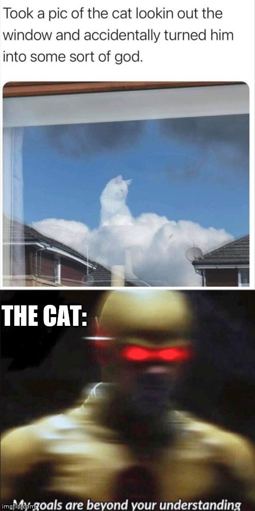 The cat has intentions beyond our understandings! | THE CAT: | image tagged in my goals are beyond your understanding,godly cat,cloud cat,god level cat,god cat | made w/ Imgflip meme maker
