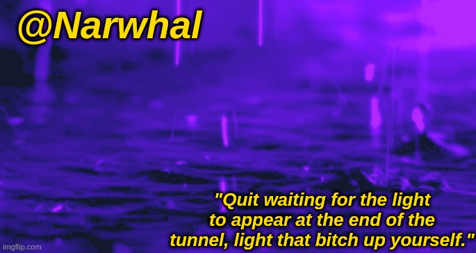 narwhal announcement temp Blank Meme Template