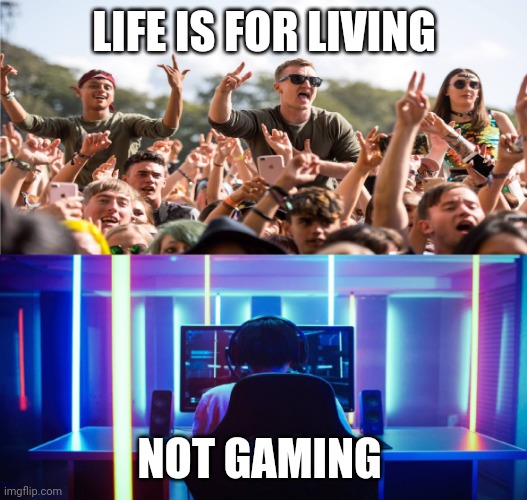 Festival vs gamer | LIFE IS FOR LIVING; NOT GAMING | image tagged in festival vs gamer,memes | made w/ Imgflip meme maker