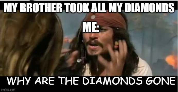 Why Is The Rum Gone | MY BROTHER TOOK ALL MY DIAMONDS; ME:; WHY ARE THE DIAMONDS GONE | image tagged in memes,why is the rum gone | made w/ Imgflip meme maker
