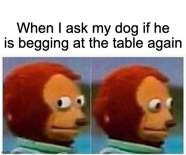 Dog training be like | When I ask my dog if he is begging at the table again | image tagged in memes,monkey puppet | made w/ Imgflip meme maker