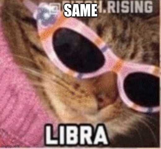 SAME | made w/ Imgflip meme maker