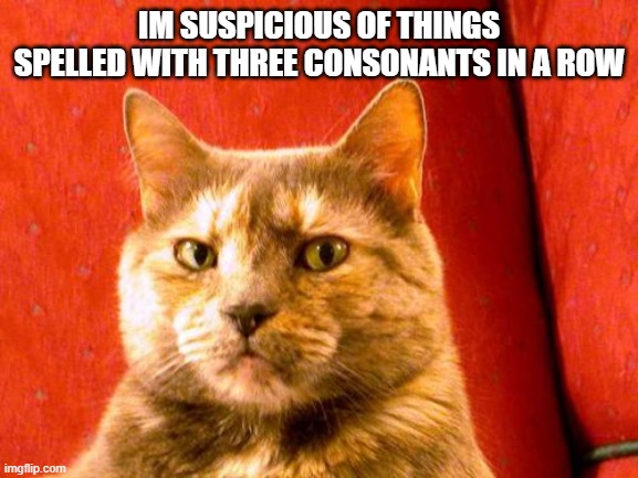 Suspicious Cat Meme | IM SUSPICIOUS OF THINGS SPELLED WITH THREE CONSONANTS IN A ROW | image tagged in memes,suspicious cat | made w/ Imgflip meme maker