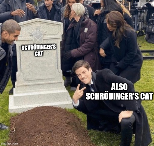 For big-brain people | SCHRÖDINGER'S CAT; ALSO SCHRÖDINGER'S CAT | image tagged in grant gustin over grave | made w/ Imgflip meme maker