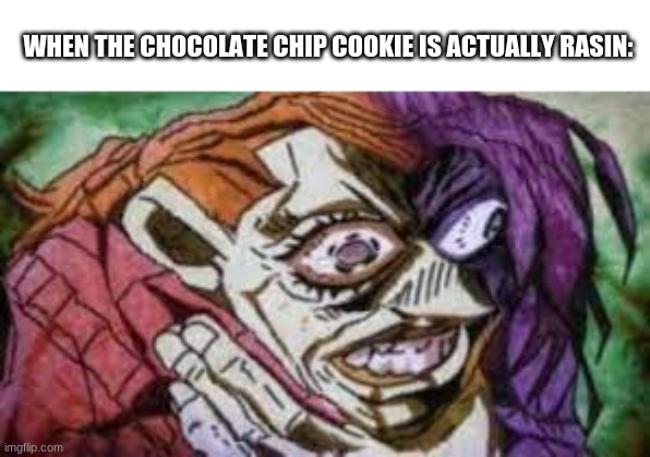 Poison V | WHEN THE CHOCOLATE CHIP COOKIE IS ACTUALLY RASIN: | image tagged in funny,memes | made w/ Imgflip meme maker