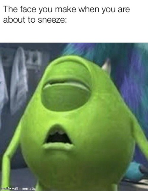 image tagged in funny | made w/ Imgflip meme maker