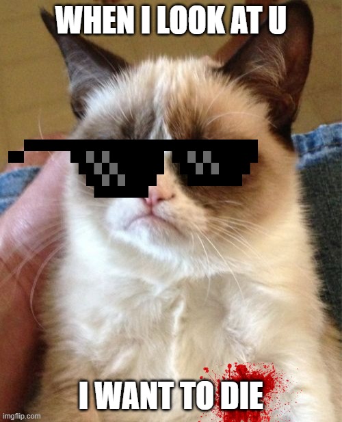 wow | WHEN I LOOK AT U; I WANT TO DIE | image tagged in memes,grumpy cat | made w/ Imgflip meme maker