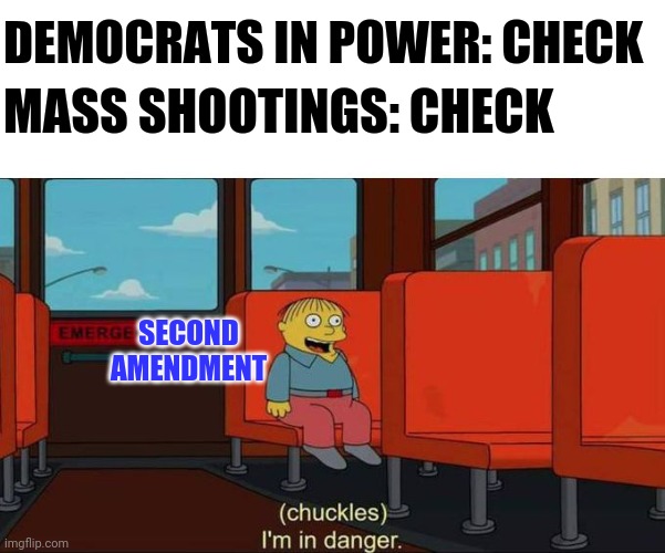 Here we go again. | DEMOCRATS IN POWER: CHECK; MASS SHOOTINGS: CHECK; SECOND AMENDMENT | image tagged in i'm in danger blank place above,2nd amendment,democrats,assault weapons | made w/ Imgflip meme maker