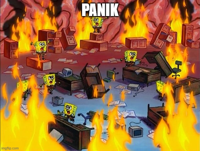 spongebob fire | PANIK | image tagged in spongebob fire | made w/ Imgflip meme maker